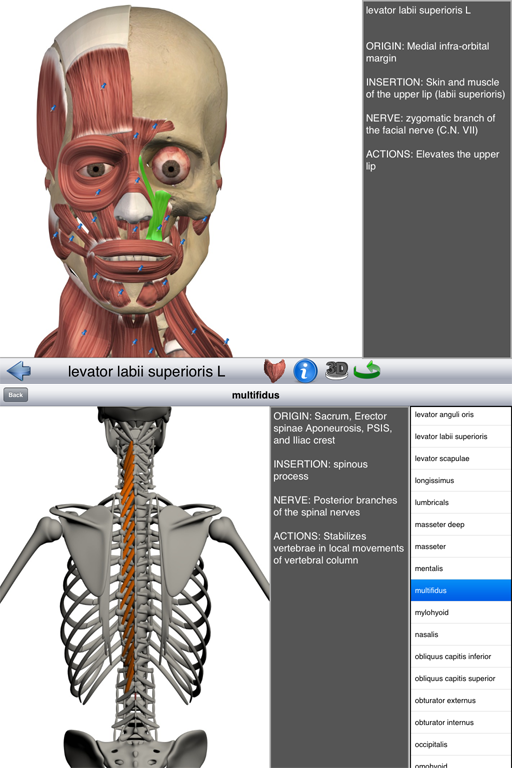 Education Mobile | Visual muscles 3D